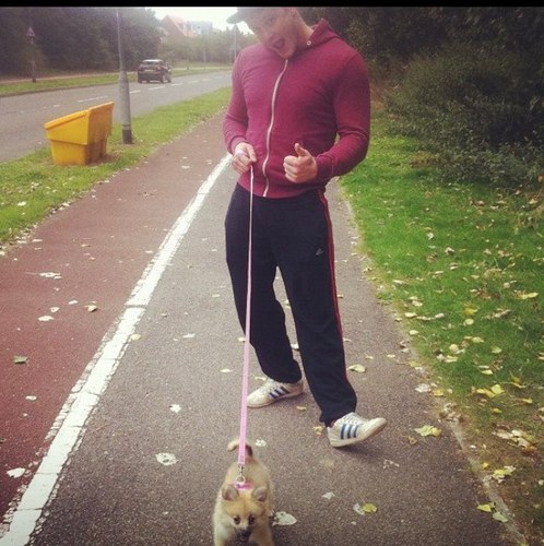 willson_tom's profile picture. 