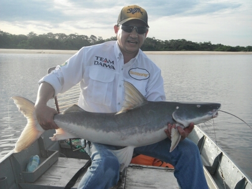 mfm200's profile picture. 