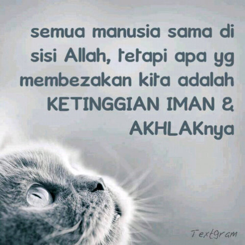 yaya_July's profile picture. 17 .Thanks to Allah !  Hamba Allah  . hijab ! :)