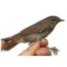 d_notices's profile picture. Security Freedom & Fairness: media agendas, rackets, hidden censorship, unfair discrimination & ill humor.