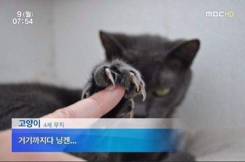 정신없게 휘몰아치네