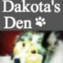 I am the Sheltie brother of Cody from Cat Chat With Caren & Cody. I have a facebook page http://t.co/KjR2oj2aQ9 and a blog, Dakota's Den