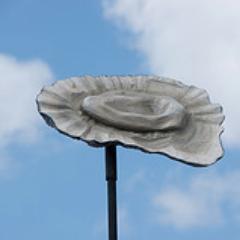 Virginia_Oyster Profile Picture