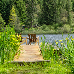 cusheonlake's profile picture. Modern log cabins all on the lake & on an island.Fireplaces, hot tub, canoes & natural west coast beauty.Couples, families, friends, retreats, weddings...