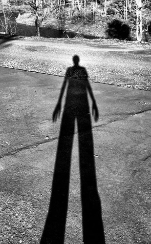 dimproduction's profile picture. Business account for Do It Myself Productions, a video production company run by Clayton Smith (@clayton0559).