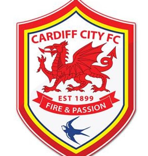 Cardiff fans traveling home&away. Follow us & we follow back. We help each other arrange car share & 50% off train fares. Meet up, travel together & save!