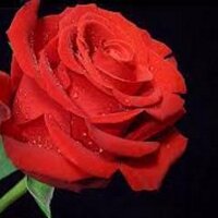 İMAMHATİPEKİP (@imamhatipekip1) 's Twitter Profile