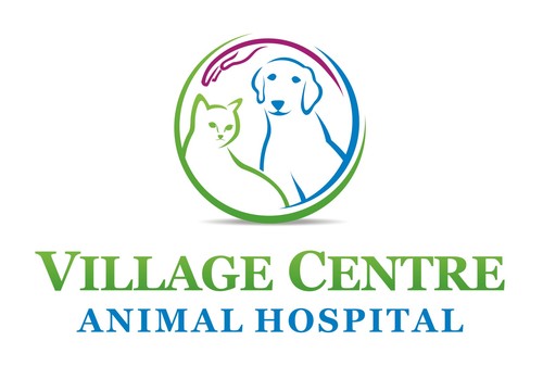 We are a full service veterinary clinic providing care to dogs and cats