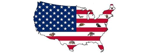 Local wildlife removal services are being added daily.