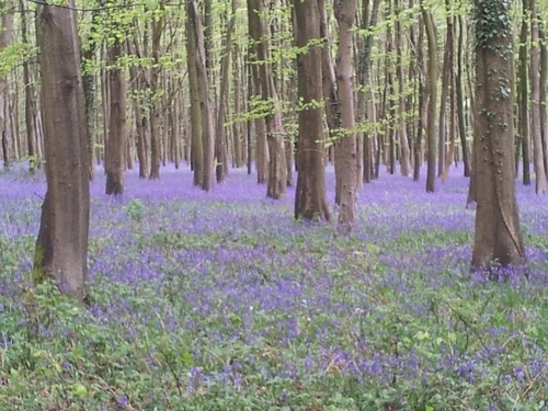 caro2856's profile picture. 