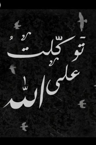 كل تغريداتي لاتخرج عن نطاق التحليل السياسي لشخص درس علم السياسة واقتنع به محاولا تطبيقه على واقعنا السياسي المعاصر .