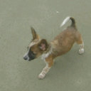 Adrian Yepez - @adrian_yepzz - Twitter