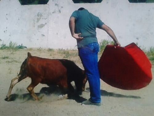 En mi casa se respeta y admira a todo el que se viste de luces.VIVA LOS TOROS Y EL REAL MADRID.             PSOE             BENAOCAZ