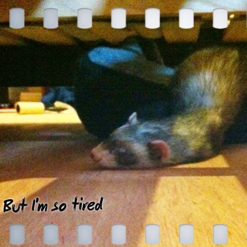 PinkieB_'s profile picture. Too late & too long, I am the slow tweeter. I am ok with this.