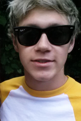 hiii i gave u a free follow because why not im @dunderheadniall ily