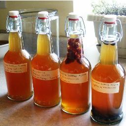 Building an environment of healthy living and healthy diet through probiotics, like Kombucha and Dairy-Free Kefir.  Hand Crafted Probiotic Brews