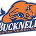 Bucknell Swim & Dive (@Bucknell_SWIMDV) Twitter profile photo