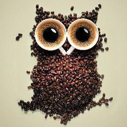 tweetfavorisi's profile picture. En sevilen ve en çok favori alan tweetleri paylaşır. ▬▬▬▬▬▬▬▬▬▬▬▬▬▬▬▬▬▬▬▬▬▬▬▬▬▬▬▬▬▬