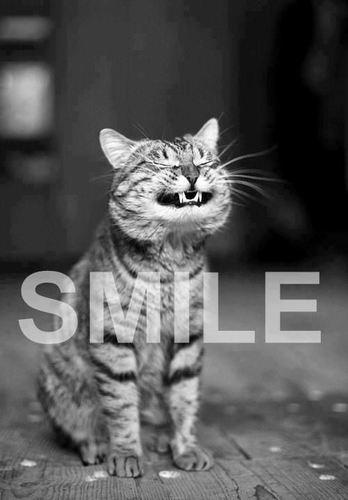 esta pagina la puedes encontrar en facebook como smile ツ ¡UNETE! gracias. : ) smile https://t.co/yxTv84LPCY