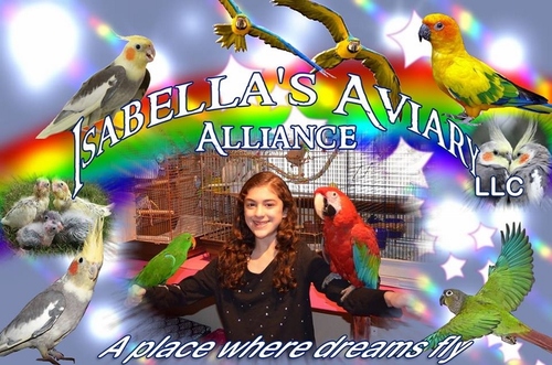 Belle is 10, and fighting a big disease. Her passion is parrots, and her dream is to hand-raise companion birds for other special needs children!