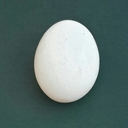 Nicolás Agustín - @NicolsAgustn - Twitter