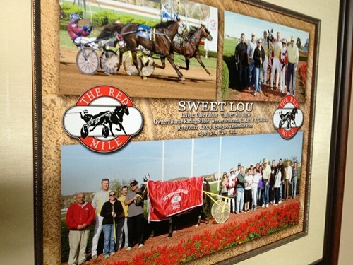Race Horses. Sammy's Pizzeria.