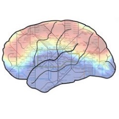 Serving the functional near-infrared spectroscopy community