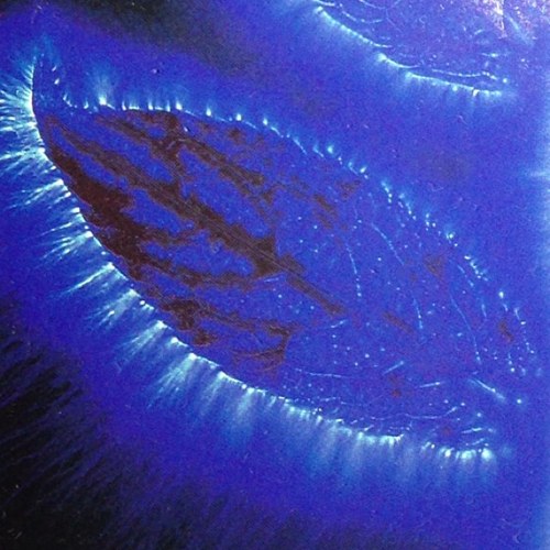 VisionWatch's profile picture. Machine Vision and Optimization. Reviews, discussions and comparison.