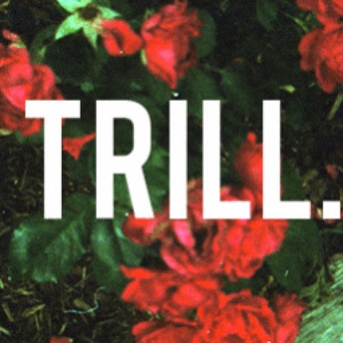 Follow me for some trill tweets everybody can understand. #TrillLifestyle