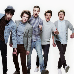 Music saves lives!  Directioner and Lovatic.