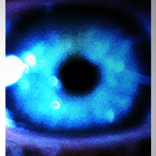 ★★Nova Blackstar★★
 My twitter is to help promote My Website, Celldweller, Fixt, Blue Stahli, Bane of Yoto,DJ Ryle, Theory of a deadman, A7X and GAC