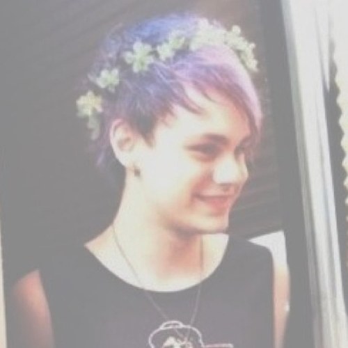 tommocupcake Profile Picture