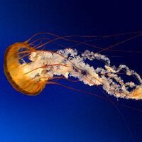 .. (@2753f5a7) 's Twitter Profile