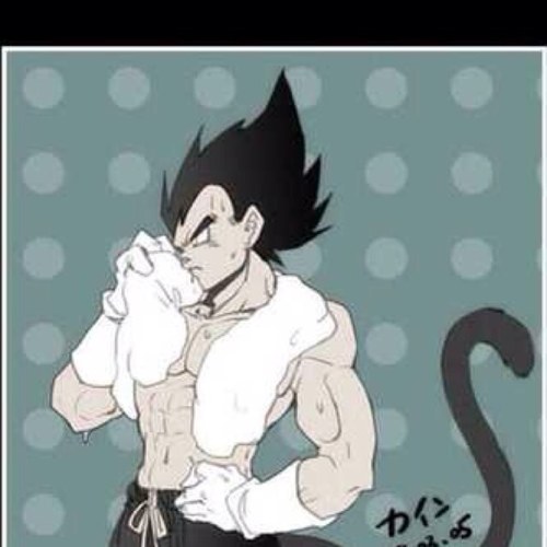 Names vegeta #single pets: see lists
