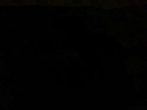 shaikhaobaid's profile picture. 