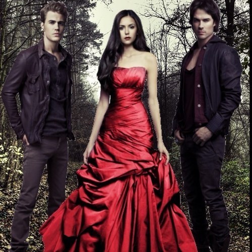 Follow back!!_TheVampireDiariesFC