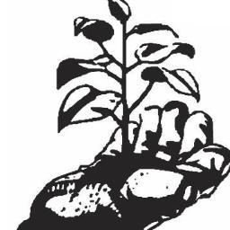 Your plants should thrive not just survive