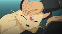 Miau~~ Mi territorio nadie lo invade. Fiel a @Lider_Giovanni. Como rattatas por diversión. Miau.