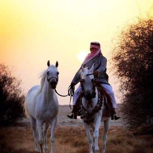 ‏افخر بـ قحطان وافخر بـ الهواجر ..
كلهم عينين في راس القبيله ..
عزوة اللي دمعها يملا المحاجر ..
وفزعة اللي هدّت الايام حيله ..