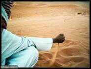 mlpp12's profile picture. 