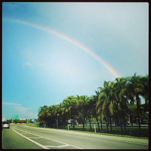 gtmarche's profile picture. 