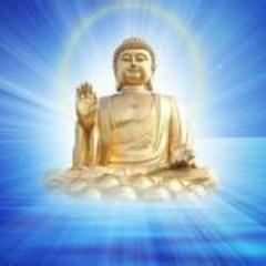 优美的文字是心里的良药！