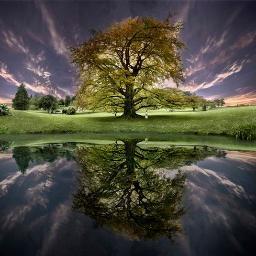 InvincibleHarry's profile picture. Two roads diverged in a wood, and I took the one less traveled by, And that has made all the difference.