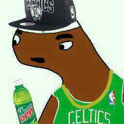 I play fur teh Buztin Celikz (Labrun Jaemz iz a foggit)_