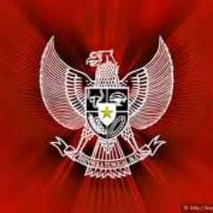 taufikahmad979's profile picture. 
