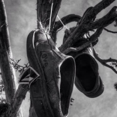 Derekeatsrainbo's profile picture. 