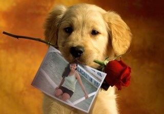 gwapasalimasawa's profile picture. 