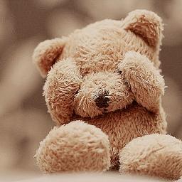 amo?amor!!!