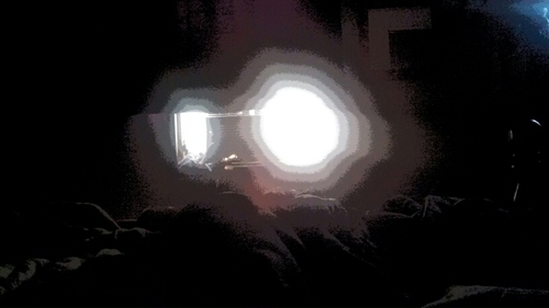 stevew4955's profile picture. 