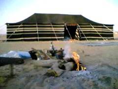 androidap6268's profile picture. 